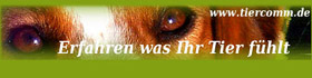 Tierkommunikation